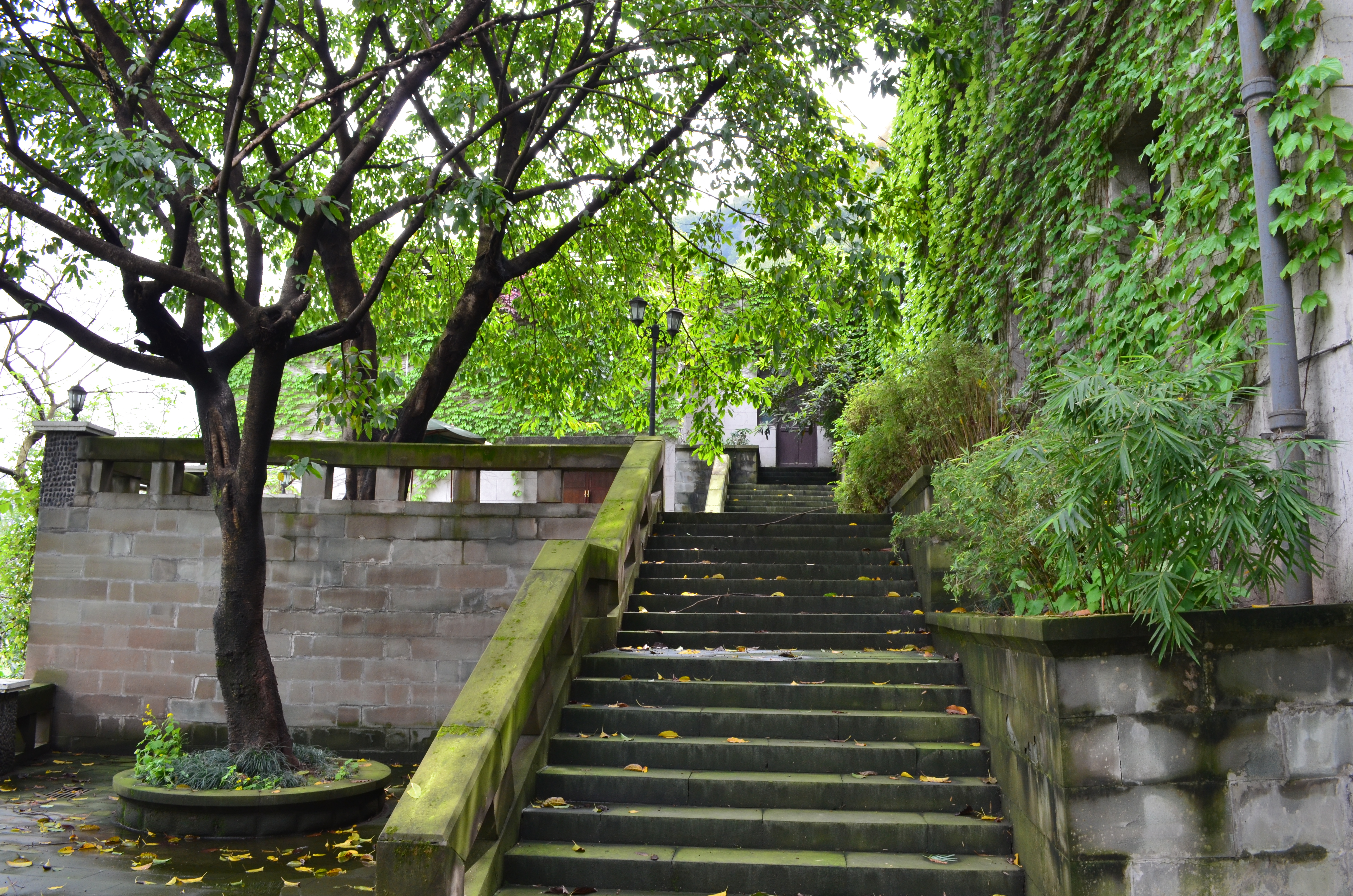 ./2018/03 - Viking China/15 - Chongqing/DSC_0779.JPG